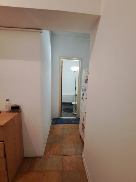 Ultracentral, Cismigiu